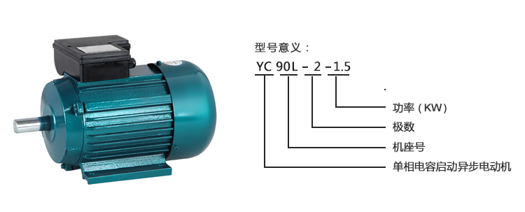 上海宝格电机有限公司